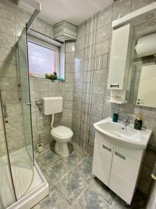Ένα μπάνιο στο Apartman Bogdan