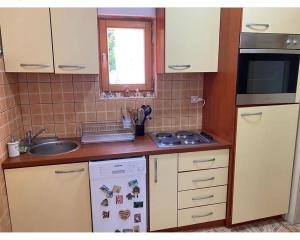 uma pequena cozinha com pia e geladeira em Apartman Bogdan em Čačak