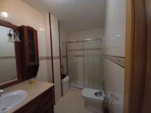 a bathroom with a shower and a toilet and a sink at SOLPOR DO VERAN in Ribeira +9 photos