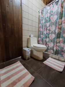 a bathroom with a toilet and a shower and two rugs at My Country House Paradise, Rio Celeste! in San Rafael