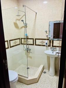 a bathroom with a shower and a toilet and a sink at Georgian Palace Hotel in Kutaisi