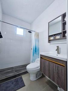 y baño con aseo, lavabo y espejo. en Centrally located Villa with 3 Pools -Food & Beach walking distance, en Arecibo