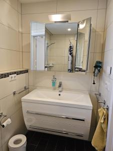 uma casa de banho com um lavatório branco e um espelho. em Ferienwohnung am Wildpark HDH em Heidenheim an der Brenz