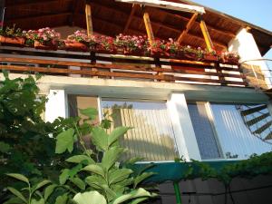 Fotografie z fotogalerie ubytování Villa Exotica v destinaci Balchik