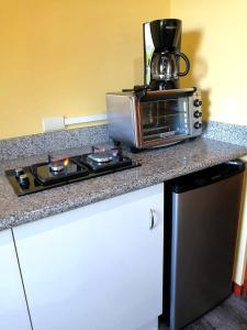 un microondas en la parte superior de una barra de cocina en Arenal Villas Tranquilas, free-standing equipped houses, en Nuevo Arenal