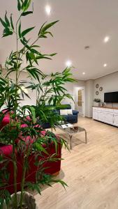 a living room with a large plant and a couch at Apartamento Castilla 30 - Parking Publico Gratuito in Toledo