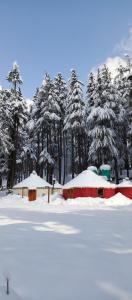 ein schneebedecktes Feld mit Häusern und Bäumen in der Unterkunft The Glamping Spot Kalam in Kalām
