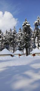 a snow covered field with trees in the background at The Glamping Spot Kalam in Kalām