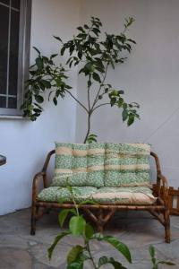 a chair with a tree in the corner of a room at Studio 1 in Katerini in Katerini