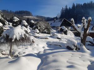 un cortile coperto da neve con alberi e una casa di Chalupa v Haraticích a Jablonec nad Nisou