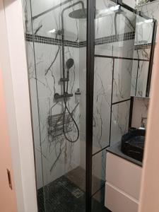 La salle de bains est pourvue d'une douche avec une porte en verre. dans l'établissement Résidence Carnot, à Alfortville