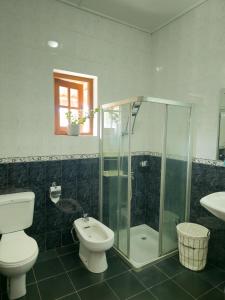 a bathroom with a shower and a toilet and a sink at The Loris Manor in Nuwara Eliya