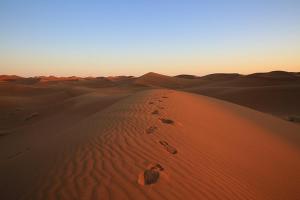 a view of a desert with footprints in the sand at Sahara Berber Camp - Mhamid Discovery Camp in Mhamid el Rhozlane +23 photos