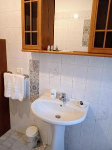 a bathroom with a white sink and a toilet at Elisa's House, Una coccola! in Castel San Pietro Terme