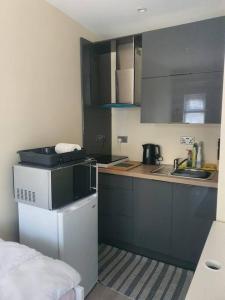 uma pequena cozinha com um lavatório e um frigorífico em Private Ensuite Room with Kitchenette em Phibblestown