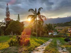 a palm tree next to a dirt road with the sunset at Finca la Lomita in Fusagasuga