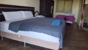 a bedroom with a large bed and a mirror at Hotel El Sol Morrillo in Los Duarte