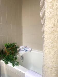 a bathroom with a bath tub with a plant in it at Remanso del río Saja in Renedo