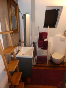 ein Bad mit einem Waschbecken und einem WC in der Unterkunft Zimmer Und Aussicht in Friedrichstadt