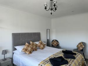 a bedroom with a white bed with pillows and a chandelier at Traeth Rooms in Cardigan