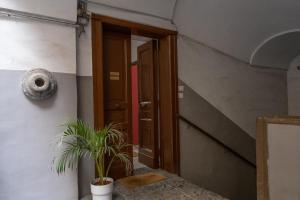 un corridoio con una porta e una pianta in vaso di San Liborio Suites a Napoli
