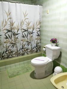 a bathroom with a toilet and a shower curtain at Bryslaungeguayaquil in Guayaquil