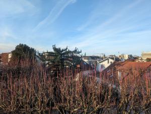 uitzicht op een stad met huizen en bomen bij Charmant appartement à 2 pas de Paris in Saint-Maur-des-Fossés