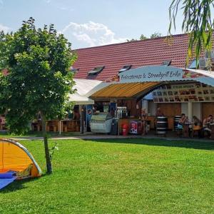 Κήπος έξω από το Strandi Apartmanok- Magyar Tenger