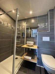 uma casa de banho com um chuveiro, um WC e um lavatório. em Hôtel-Restaurant Le Hauteville em Hauteville-Lompnes