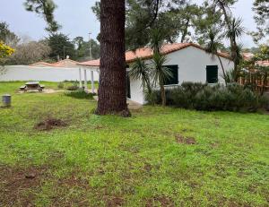 Κήπος έξω από το Maison typique île de ré +8 φωτογραφίες