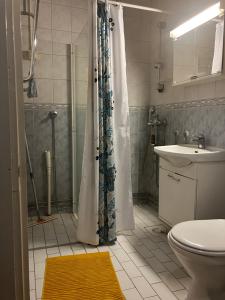 a bathroom with a shower and a toilet and a sink at Kuninkaankatu Apartment - Free Parking in Kuopio