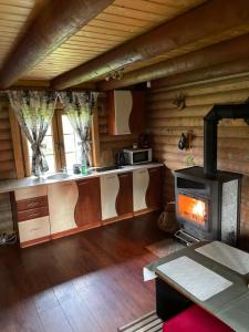 uma sala de estar com lareira num chalé de madeira em Domki Florentyna em Wojcieszyce