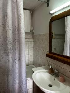 a bathroom with a sink and a shower curtain at Petrameli in Karpenisi