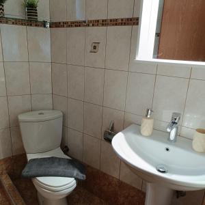 a bathroom with a toilet and a sink at Tsimas House in Potamiá +9 photos