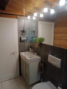 ห้องน้ำของ Zur Meise