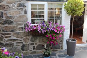 a window with flowers in a stone wall at Ginentonic Holiday Cottage in Saint Keverne