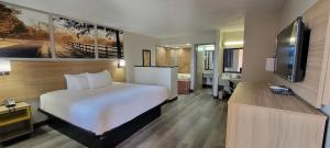 Pokój hotelowy z dużym łóżkiem i telewizorem w obiekcie Days Inn by Wyndham Conway w mieście Conway
