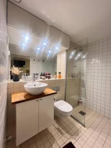 a bathroom with a sink and a toilet and a shower at Koselig leilighet i sentrum av OSLO med byutsikt! in Oslo