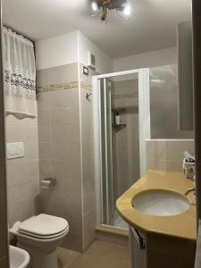 een badkamer met een toilet, een wastafel en een douche bij Marilù in Stezzano
