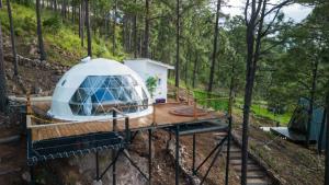 Tiny Pines A-Frame Cabin, Domes and Luxury Glamping Site外面的花园