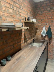 uma cozinha com um lavatório e uma parede de tijolos em Lemon Tree Guest House em Aliwal North