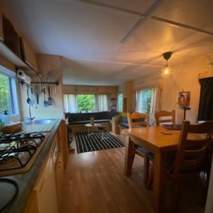 een keuken en een woonkamer met een fornuis en een tafel bij Het Bruggetje Leekstermeer in Matsloot