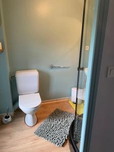 a bathroom with a white toilet and a rug at Au Petit Bourguignon in Précy-sous-Thil