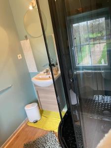a bathroom with a shower and a sink at Au Petit Bourguignon in Précy-sous-Thil