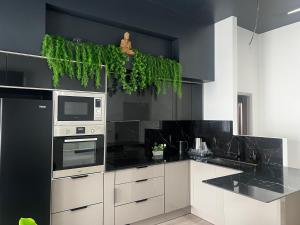 a kitchen with black walls and white appliances at Chambre Selva in Cayenne