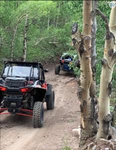 dos ATvs en un camino de tierra en el bosque en Ute Bluff Lodge, Cabins and RV park en South Fork