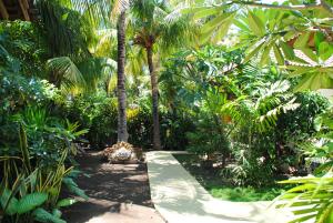 a path through a tropical garden with palm trees at Kubu Sari Guest House in Pemuteran