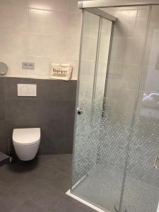 a bathroom with a toilet and a glass shower at Ferienwohnung zum Heilbrünnchen in Emmelshausen