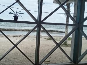 a window view of a beach with a potted plant at Buccaneer Resort in Bocas Town