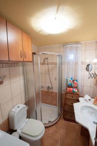 a bathroom with a shower and a toilet and a sink at Guest house Anastazia in Krousón